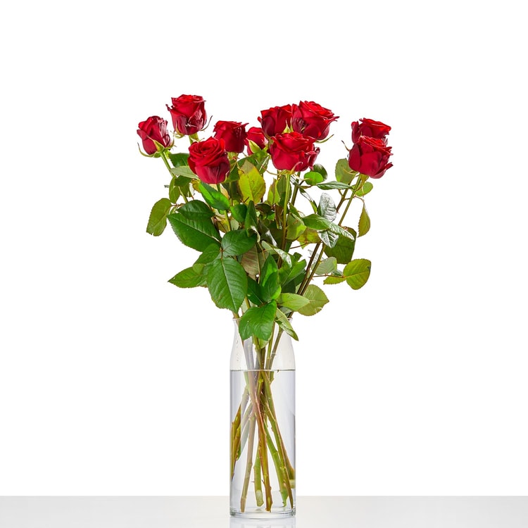 Losse rode rozen hover